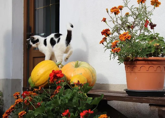 Christine Сasa de vacaciones Schenkendobern