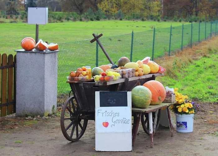 Сasa de vacaciones Christine Schenkendobern